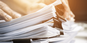 Finančno poročilo za leto 2025